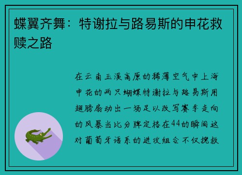 蝶翼齐舞：特谢拉与路易斯的申花救赎之路
