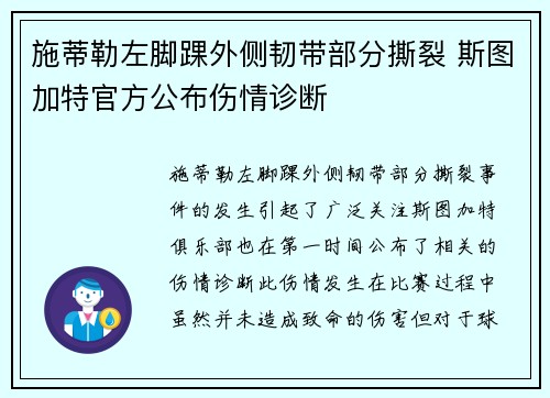 施蒂勒左脚踝外侧韧带部分撕裂 斯图加特官方公布伤情诊断